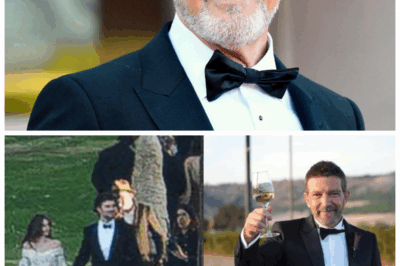 🐘 The Untold Drama Behind Antonio Banderas’ Daughter Marrying Her Preschool Sweetheart! 💥 Beneath the fairy-tale wedding lies a tangled web of family feuds, jealous rivals, and explosive revelations—this is the celeb wedding that’s rewriting the rules and stirring up Hollywood’s gossip mills! Because every love story has its dark chapters. 👇