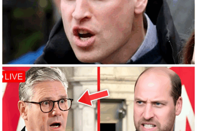 🐘 1 MIN AGO: Prince William’s Jaw-Dropping Confrontation with Starmer Sparks Royal Family Uproar 👑🔥 — In a scandalous twist that’s shaking Buckingham Palace to its core, Prince William stunned Sir Keir Starmer with a blistering rebuke that has ignited a firestorm of outrage across the Royal Family and beyond. Secrets once buried deep are now exploding into the public eye, threatening to tear apart centuries of royal decorum and political alliances. “Because when a prince speaks, the kingdom listens — and sometimes, it screams.” 👇