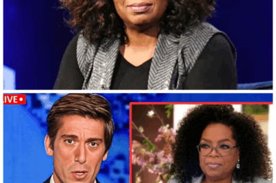 🐘 Oprah Winfrey at 71: The Emotional Breakdown and Shocking Revelations That Will Break Your Heart Forever 🔥 — Experience the jaw-dropping saga of the media queen’s tragic downfall, where betrayal, heartbreak, and scandal collide in a whirlwind of sorrow that threatens to erase the icon’s shining image. “In the ruthless glare of fame, no secret stays buried forever.” 👇