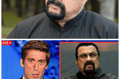 🐘 The Heartbreaking Collapse of Steven Seagal at 73: A Life Torn Apart by Unimaginable Tragedy! ⚡ Fans are stunned as the once-mighty action hero’s world falls apart under the weight of devastating betrayals and losses. The tragedy goes far beyond anything Hollywood has ever seen, exposing a fragile and broken man beneath the legend. “Even legends have their darkest nights.” Discover the gut-wrenching story here! 👇