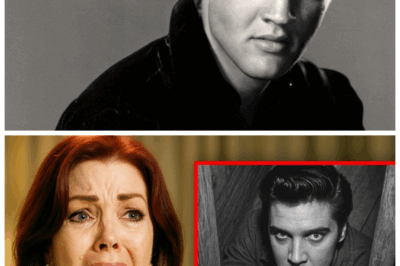 🐘 After 48 Years, Elvis Presley’s Attic Is Open — And The Identity of Who’s Inside Is A Jaw-Dropping Bombshell! 💥👑 — The King’s attic, long shrouded in secrecy, has finally been revealed, unleashing a whirlwind of shock and disbelief. Inside, an unexpected presence has been uncovered, sparking rumors, conspiracy theories, and a media frenzy. What does this mean for Elvis’s legacy? Prepare for a scandalous twist that no one could have predicted, turning the music world upside down. Because when Elvis’s shadows come to light, the truth is stranger than fiction. 👇