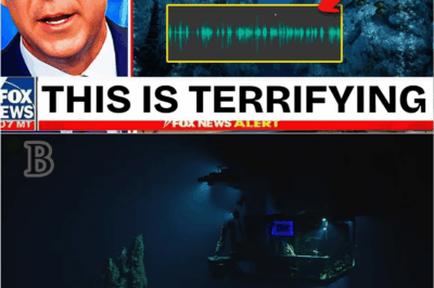 😱 “Unexplained Sound From the Abyss: The Terrifying Audio That Shook Oceanographers Worldwide”