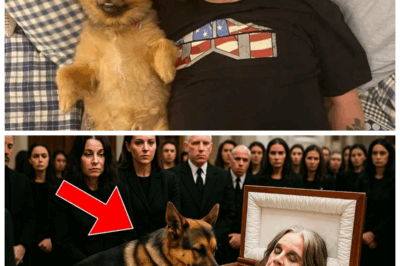 🐘 At the Funeral of Ozzy Osbourne, His Dog’s Unexpected Leap Onto This Body Sparked a Chain Reaction of Shocking Events and Emotional Outbursts! 🔥 What unfolded next was a dramatic saga of loyalty, loss, and long-hidden grudges exploding into the open, leaving everyone stunned! “When the final goodbye gets anything but quiet.” 👇