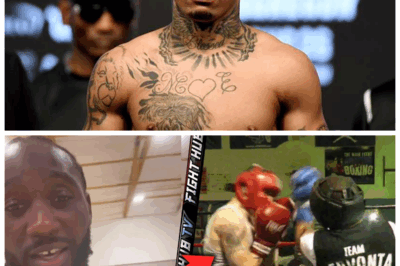 🐘 Gervonta Davis KNOCKS OUT 💥 His Heavyweight Sparring Partner 😱 Just Weeks Before the Jake Paul Fight 🥊 “That Wasn’t Training—That Was a Warning!” ⚡ “When power forgets mercy, legends tremble.” Davis unleashed a punch so brutal it dropped a man twice his size—and now the boxing world’s terrified for Jake Paul. The gym went silent; the message was loud.👇