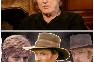 🐘🌪️ Robert Redford’s Biggest Movies and the Untold Tragedy Surrounding His Death at 89—A Hollywood Giant’s Farewell That Has Sparked Mourning and Revelations Across the Globe 🎭 His passing leaves a void filled with both admiration and mystery. “Even the brightest stars must face their final act.” 👇