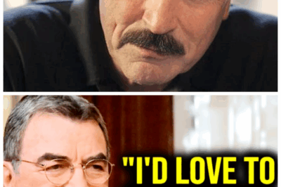 🐘 Tom Selleck 🔥 SHOCKS FANS With Late-Life Confession — Reveals the Six Hollywood Icons He Admits “Still Haunt My Dreams” in a Wild Interview That’s Equal Parts Sweet, Sad, and Scandalous 👇 Eighty years old and still breaking hearts, Selleck turned a harmless talk-show chat into a national guessing game. “He said it with that smirk,” laughed a producer, “like he was daring the world to blush with him.”