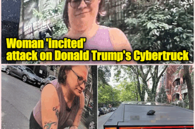 Poop-Gate in Chicago: Trump-Themed Cybertruck Defiled by Doggy Daycare Owner in Shocking Political Smear