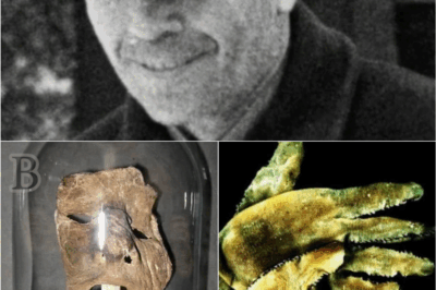 “The Real Horror Behind Netflix’s Ed Gein 🩸 — How Fact Became Fiction in the Most Twisted Way Possible”