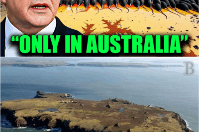 “They Laughed When Australia Tried to Erase Its Pests—But What Happened Next Left the World in Shock ”