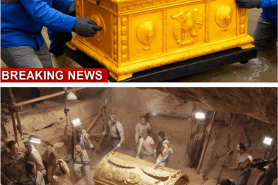 🌍 “The Discovery That Shook Religion: The Real Ark of the Covenant Finally Found Beneath Ancient Sands 🔥📜”