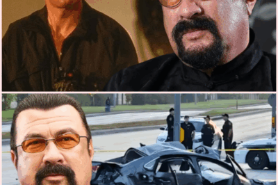 Steven Seagal: From Action Hero to Heartbreaking Isolation at 73