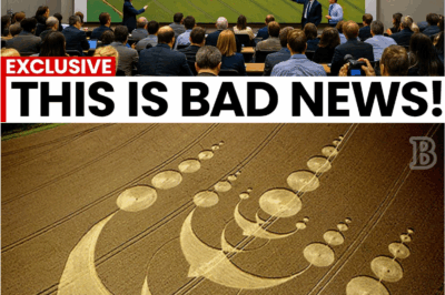 👁️ “They Said Crop Circles Were a Hoax… But What Researchers Found Hidden Under the Soil Changes EVERYTHING 🛸”