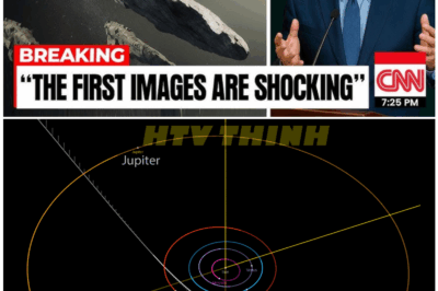 🦊 BREAKING: 3I/ATLAS Hit by Unknown FORCE – Experts Say It’s Now on a COLLISION COURSE With Earth! Are We Safe? 🚨💫
