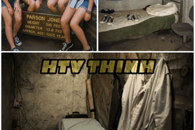 Vanished Without a Trace: The Chilling Discovery That Shocked Investigators! – HTT