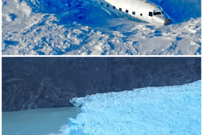 Unveiling the Secrets of the Arctic: What Lies Beneath the Ice?
