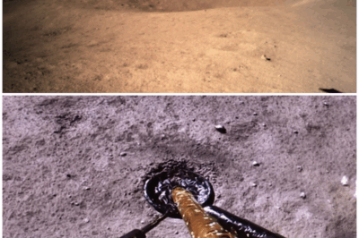 🌕 China Unveils the Hidden Secrets of the Moon’s Dark Side! What Did They Discover That Changes Everything? You Won’t Believe Your Eyes! 🚀