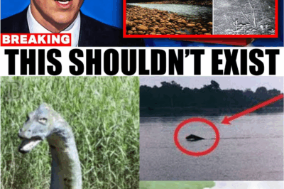 ⚡ “They Said It Was a Myth. . .  Until Experts Found Tracks Too Big to Deny 🦕”