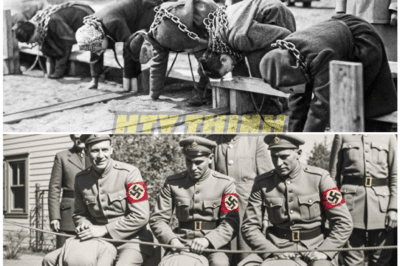 🦊 “3 Nazi Soldiers Pose for a Photo… But What Experts Discovered 75 Years Later Will Leave You Speechless 😱”