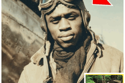 ✈️🌿 Lost to the Jungle for Half a Century! Fighter Pilot’s Rusted Plane Found After 50 Years — A WWII Mystery Resurfaces with Shocking Revelations! The jungle’s thick canopy finally gave up its deadly secret when the rusted wreckage of a fighter plane vanished since 1942 was uncovered. What happened to the brave pilot who disappeared without a trace? This discovery ignites a thrilling journey into wartime secrets, survival against all odds, and a haunting legacy that refuses to die. 👇