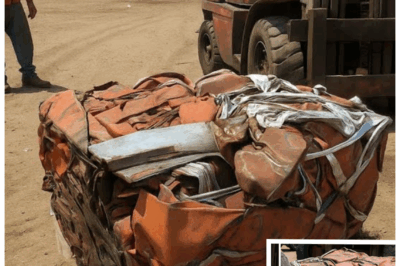 🚨😱 Scrap Dealer’s Shocking Discovery: Crushed Car Cube Conceals Terrifying Secret That Forced a 911 Call! 🚔💥 What started as a routine salvage deal turned into a nightmare when the dealer uncovered a horrifying item hidden inside the crushed metal. The moment he realized what was inside, panic set in and emergency services were called immediately! What dark and twisted secret lurked beneath the wreckage? The explosive truth will leave you breathless! 👇