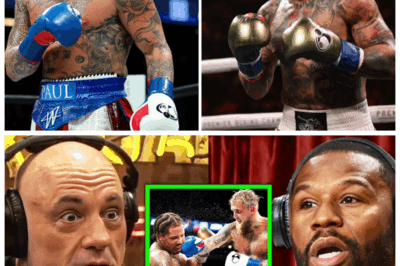 🥊🔥 Floyd Mayweather Unleashes SHOCKING Truth About Jake Paul vs Gervonta Davis! 💥 The Mega Fight Breakdown That NO ONE Saw Coming—Expert Insight That Will Change Everything You Think You Know! Mayweather’s ruthless analysis exposes hidden weaknesses and explosive surprises in this battle of titans. Get ready for the fight drama that’s about to explode! 👇