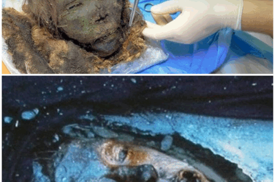 “Frozen Faces That Still Breathe”: The Ice Mummies of Siberia That Terrified Scientists and Unlocked a Hidden Civilization Beneath Antarctica