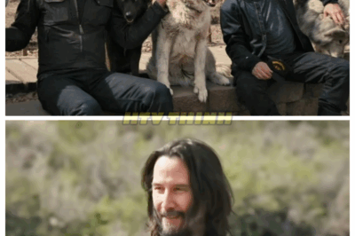 😱 The Shocking Truth at Rancho Luna Lobos: Norman Reedus & Keanu Reeves Reveal Untold Secrets!