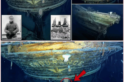 Lost and Found: Underwater Robots Uncover Shackleton’s Endurance in a Terrifying Discovery!