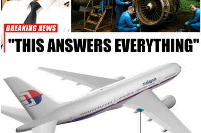 New MH370 Debris Discovered in 2025 Sparks Shocking Theory About the Plane’s Final Moments