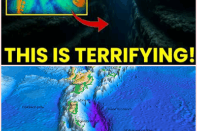 AI Unveils Terrifying Secrets Beneath the Puerto Rico Trench: What Lies in the Depths?