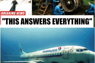 MH370 Mystery Deepens: 2025 Réunion Debris Could Rewrite the Final Moments in the Cockpit