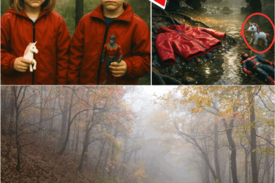 🕯️ “Thirty Years of Silence — Until the Creek Spoke: The Pisgah Mystery That Won’t Stay Buried 💔”