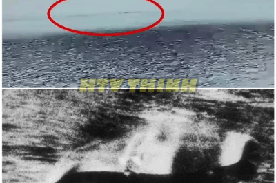 🦊 “LOCH NESS MONSTER BOMBSHELL: The ‘Most Compelling’ Photos Yet Surface — But What Historians Just Revealed About the 1933 Sighting Will SHOCK You 😱📸”