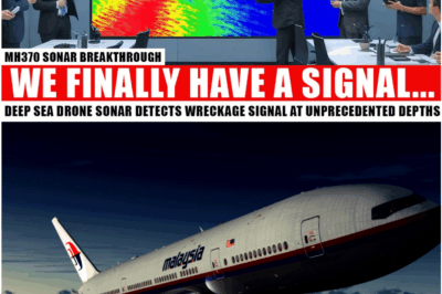 Drone Equipped With Advanced Sonar Detects Mysterious Signal Believed to Be Linked to Missing Flight MH370