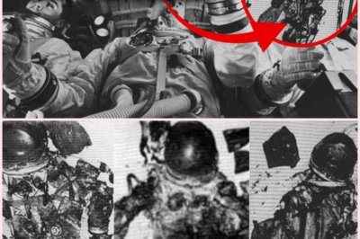 The Shocking Truth Behind the Apollo 1 Disaster: What Really Happened to the Astronauts’ Bodies?