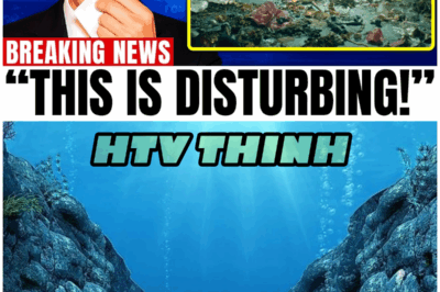 😱 Hydrothermal Vents and Alien Life? The Puerto Rico Trench’s Astonishing Revelations! 😱 – HTT