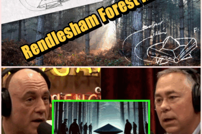 Propulsion Expert Unveils Disturbing Truths About UFO Encounters!