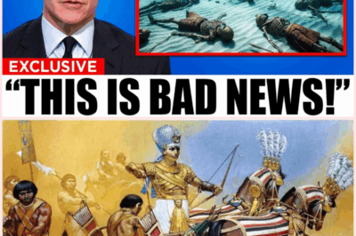 Shocking Discovery Beneath the Red Sea: Divers Uncover Evidence of Pharaoh’s Lost Army!