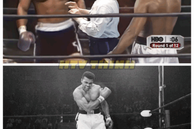 When Unknown Norton Confronted Muhammed Ali