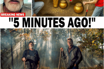 Oak Island Leak Sparks Frenzy: Hidden Chamber and Ancient Artifact May Rewrite History