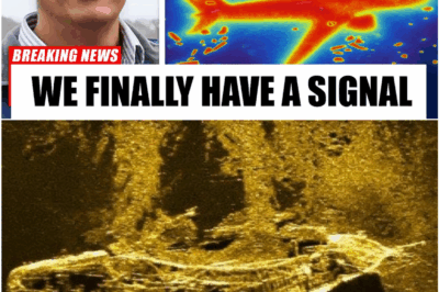 MH370 FOUND? Quantum Lidar Drone Detects Mysterious Black Box Signal and an Object Scientists Can’t Explain