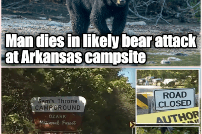 Terrifying Bear Attack at Arkansas Campsite: Man’s Last Photos Hint at Deadly Predator Lurking in the Woods!