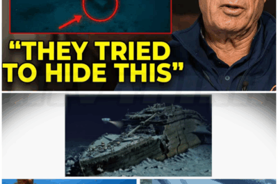 🐻 Before He Dies, Titanic Discoverer Robert Ballard Admits What He Found at the Wreck