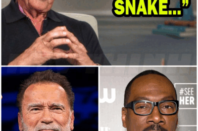 🐻 Top 6 Actors Sylvester Stallone HATED The Most