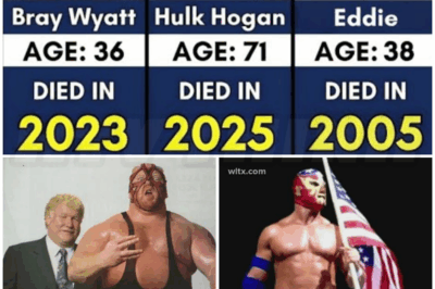 🐻 WWE Wrestlers Who Passed Away Every Year From 2000–2025: Honoring The Legends