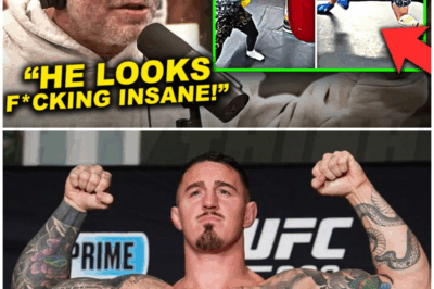 🐻 “HE’S DIFFERENT!” Joe Rogan REACTS to Tom Aspinall SCARY NEW Training Footage for Ciryl Gane Fight!
