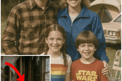 🐻 A Family of Four Vanished from Their Campsite in 1983 — 36 Years Later, a Wall Was Torn Open… and the Truth Fell Out