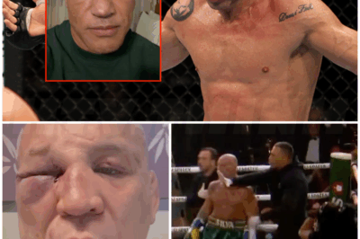 🐻 Wanderlei Silva opponent apologizes as post-fight brawl leaves 49-year-old knocked out cold