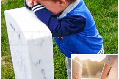 🐻 A Devastated Young Boy Cried at His Mother’s Grave — Then a Stranger’s Touch Changed His Life Forever