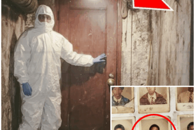 🐻 A Janitor Found a Taped-Up Door in a School Basement — It Led to a Classroom Missing Since 1978